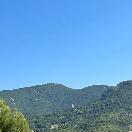 Les Oliviers De L'aiguier