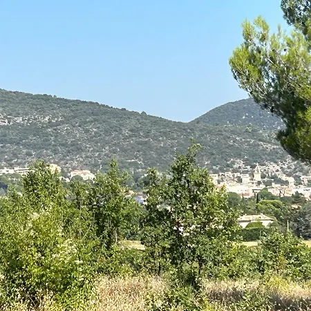 Les Oliviers De L'aiguier Vakantiehuis Nyons